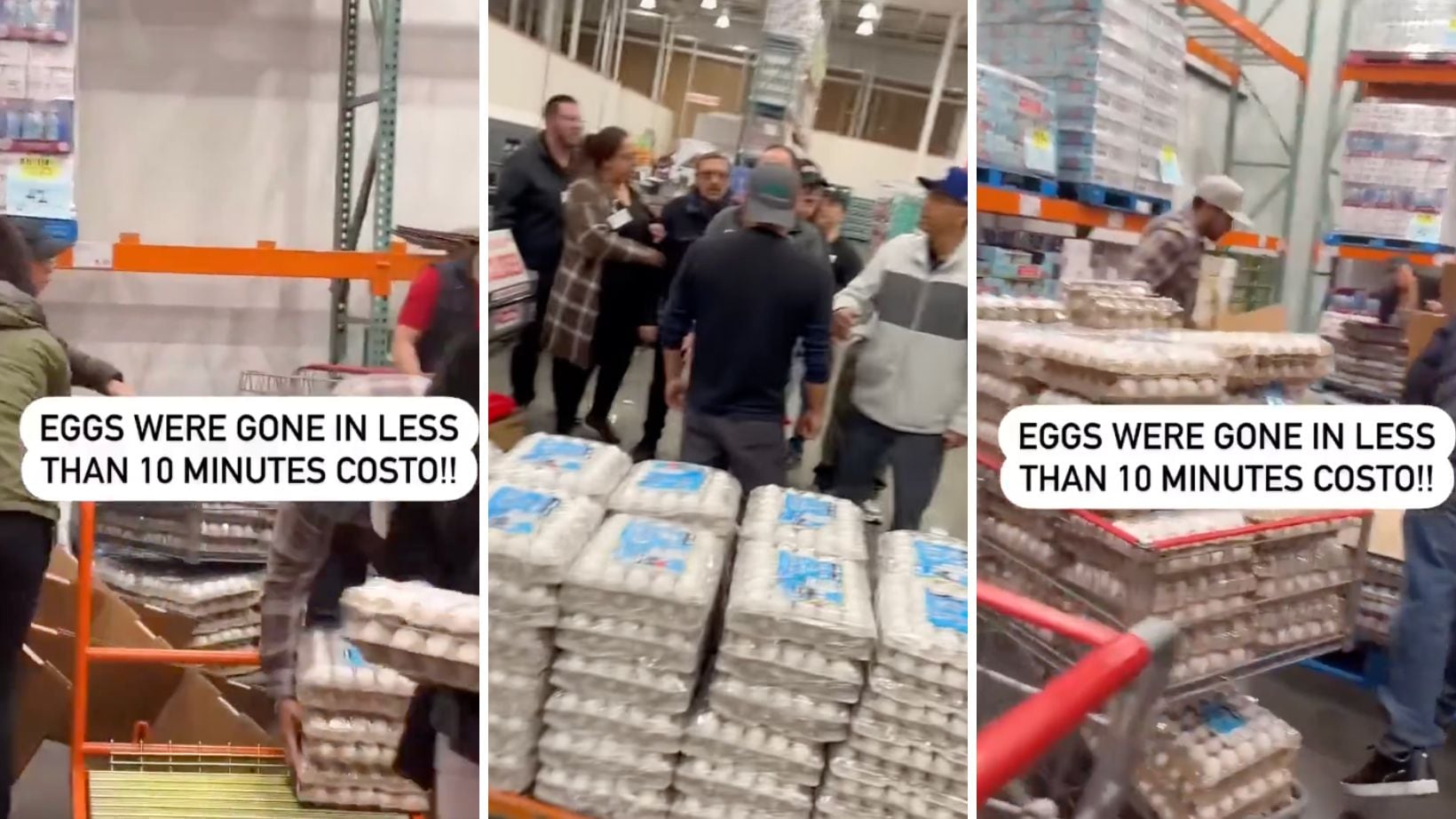 Huevo en Costco de Estados Unidos se termina en minutos por escasez (VIDEO)