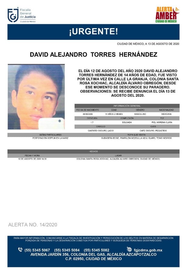 Ficha de búsqueda de David