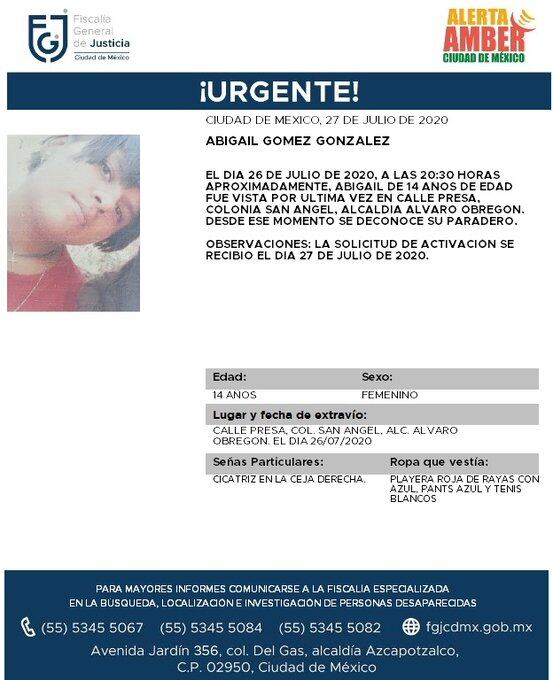 Ficha de búsqueda de Abigail