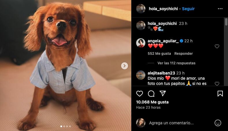 Perrito de Christian Nodal no se salva de las redes