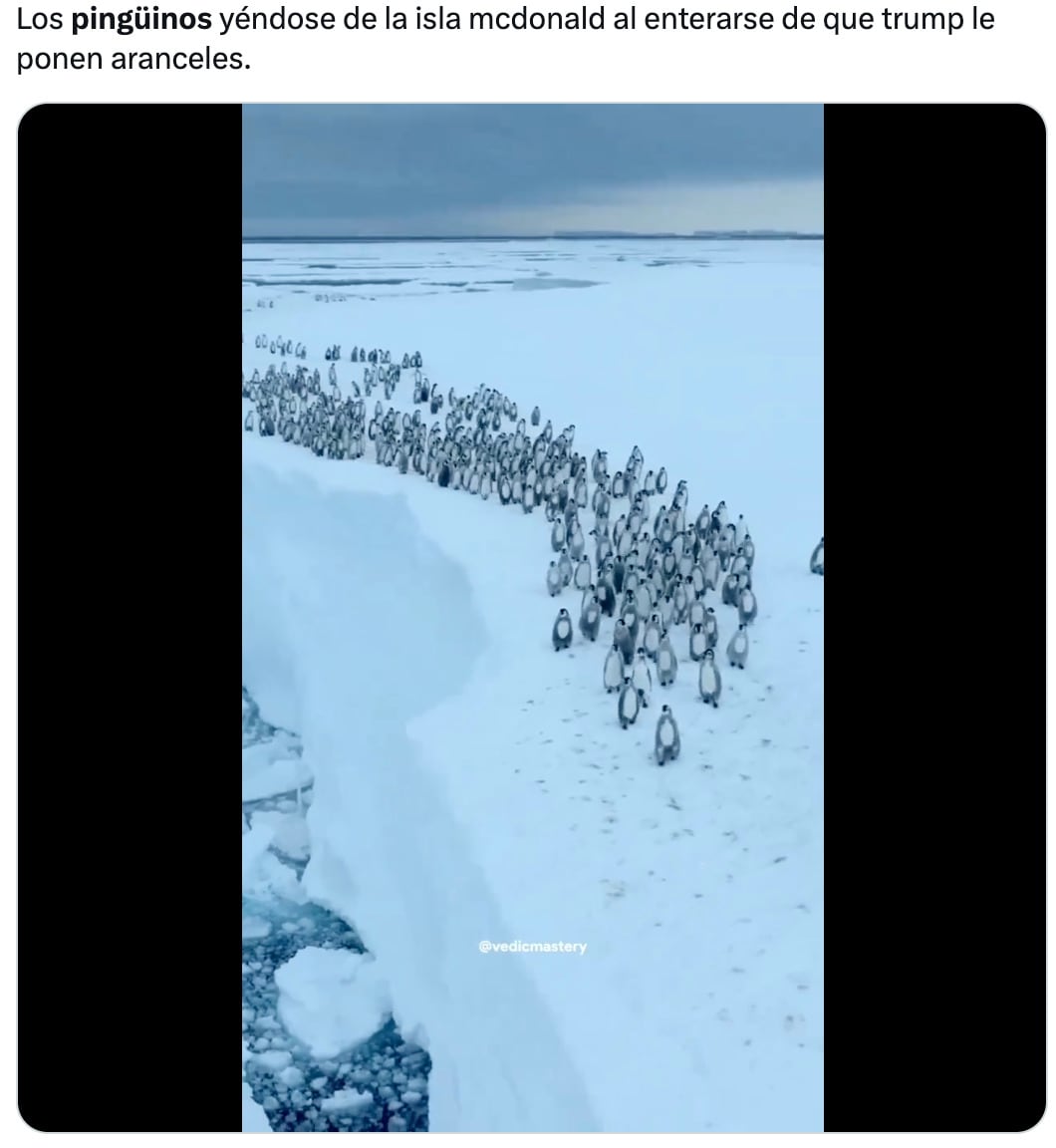 Los memes sobre los aranceles a pingüinos por Donald Trump