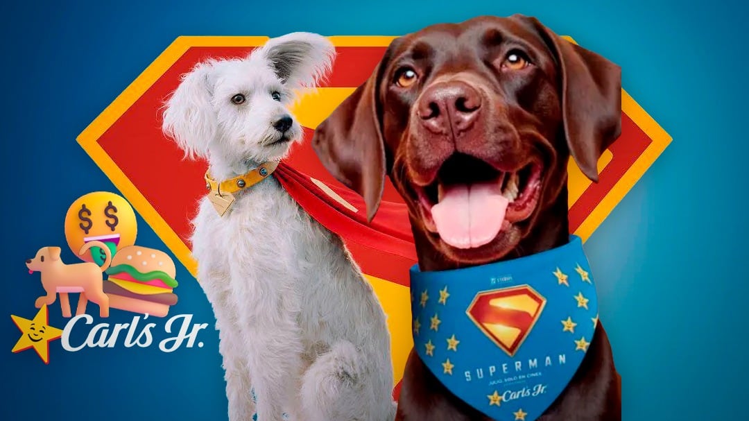 Paliacate de Superman en Carl’s Jr: Precio y cómo conseguirlo en el Día Mundial del Perro