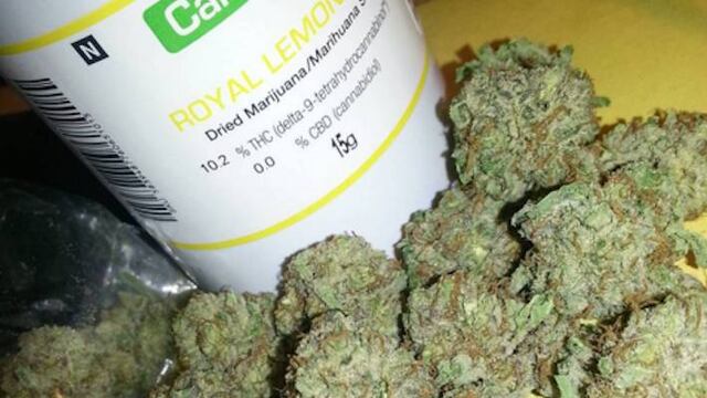 Uso medicinal de la mariguana.