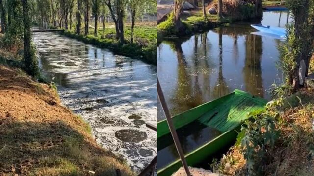 Sismo causa extraño burbujeo en canales de Xochimilco