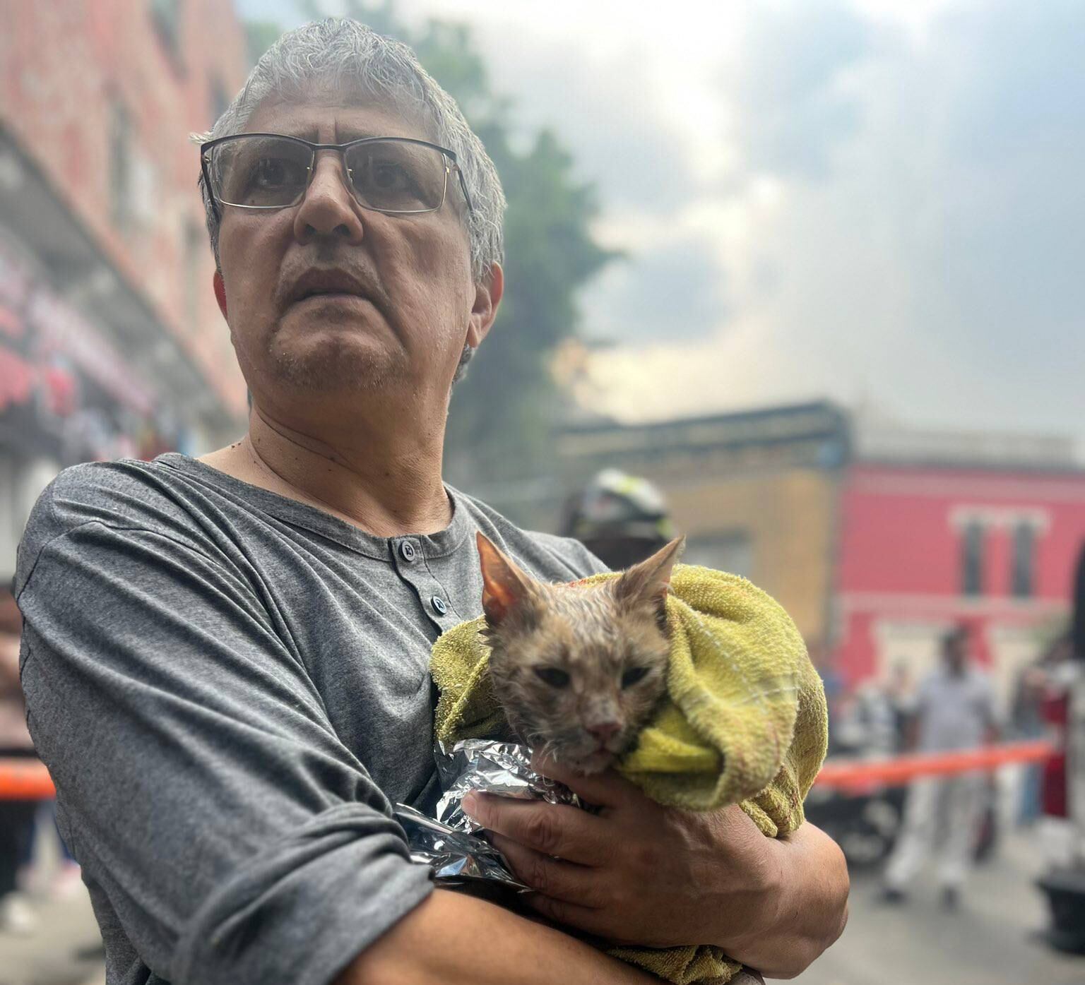 El gatito y su dueño