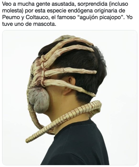 Aguijón pica jopo meme