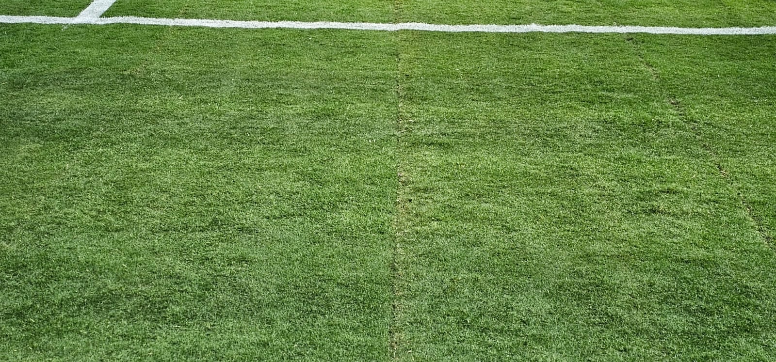 Campo del SoFi Stadium