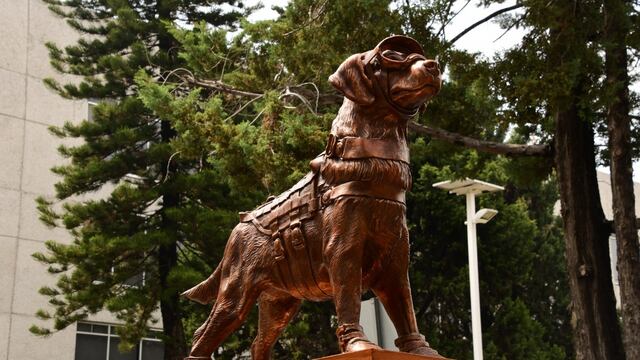 Estatua de Frida, la perrita rescatista, en las instalaciones de la Marina
