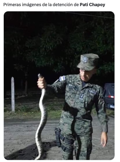 Memes comparan a Pati Chapoy y a Vladimir Putin por orden de arresto