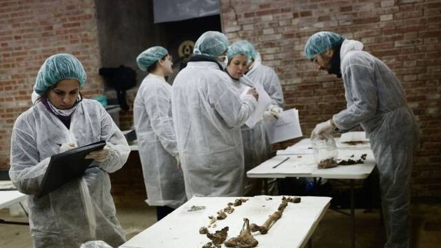 Muy pronto se podría saber donde han descansado desde hace 400 años los restos de Miguel de Cervantes.