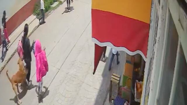 Perros peleoneros acaban involucrando a mamá y su hija