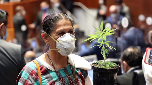 Jesusa Rodríguez. Morena