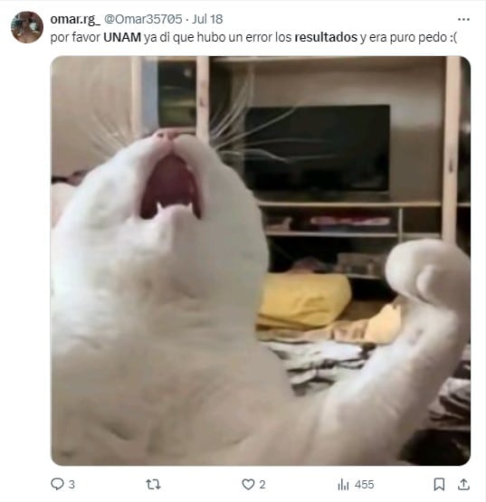 Memes de Aspirante no seleccionado