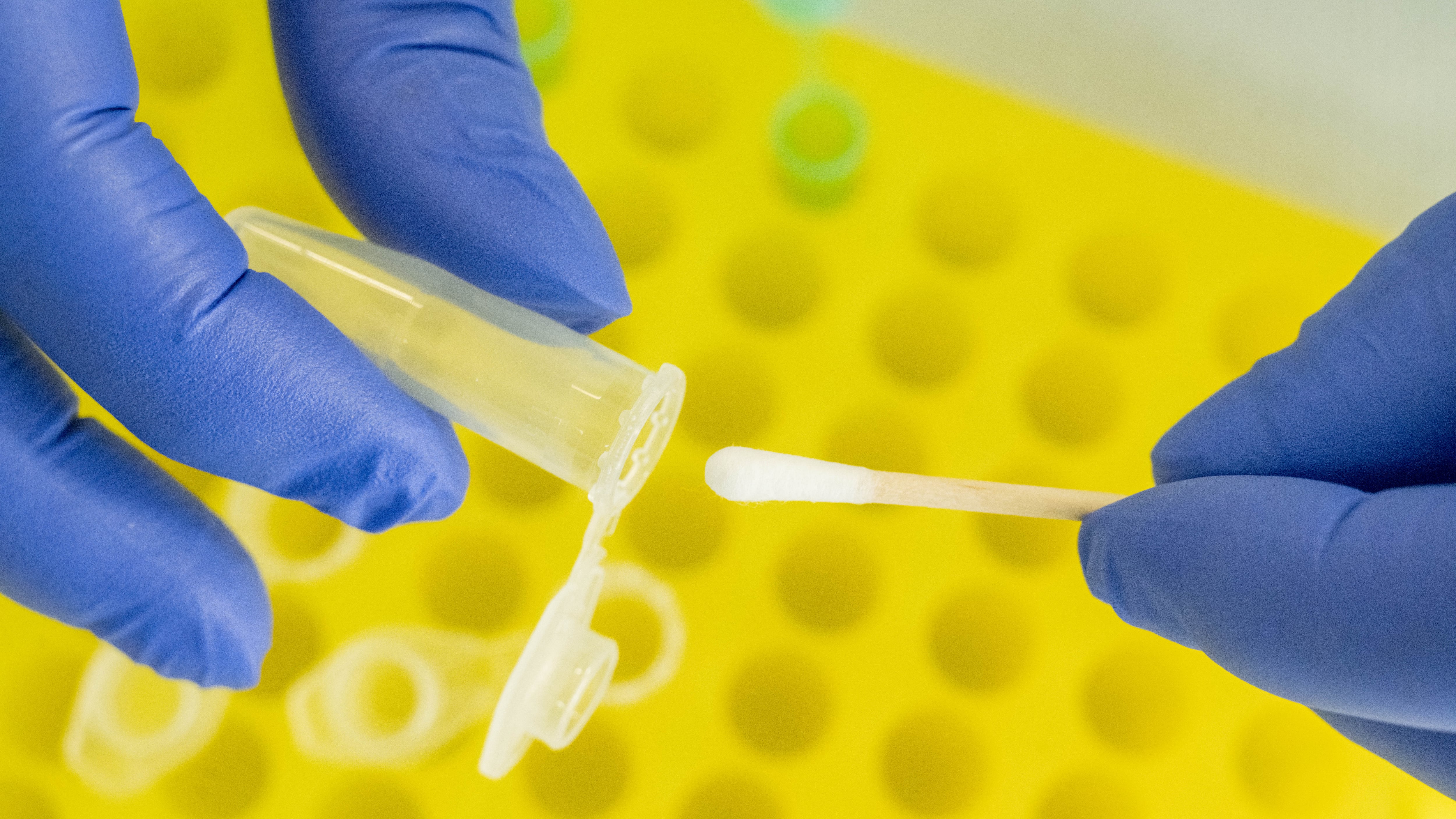 ADN como llave de encriptación: así funciona esta tecnología