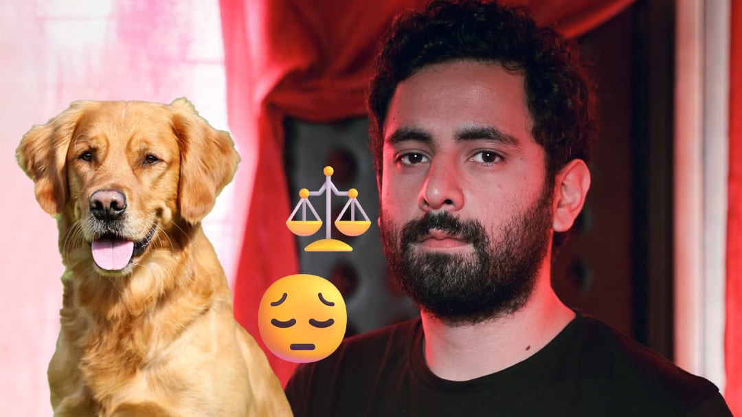 Buscan justicia para Nala, la mascota de Jonathan Meléndez que también fue asesinada