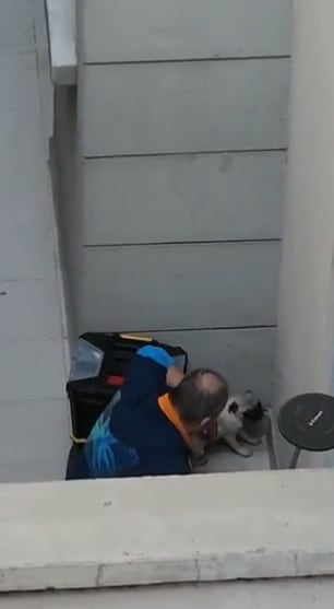 Hombre maltratando a cachorra en Venustiano Carranza, CDMX