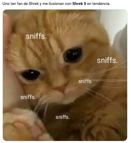 Memes sobre Shrek 5