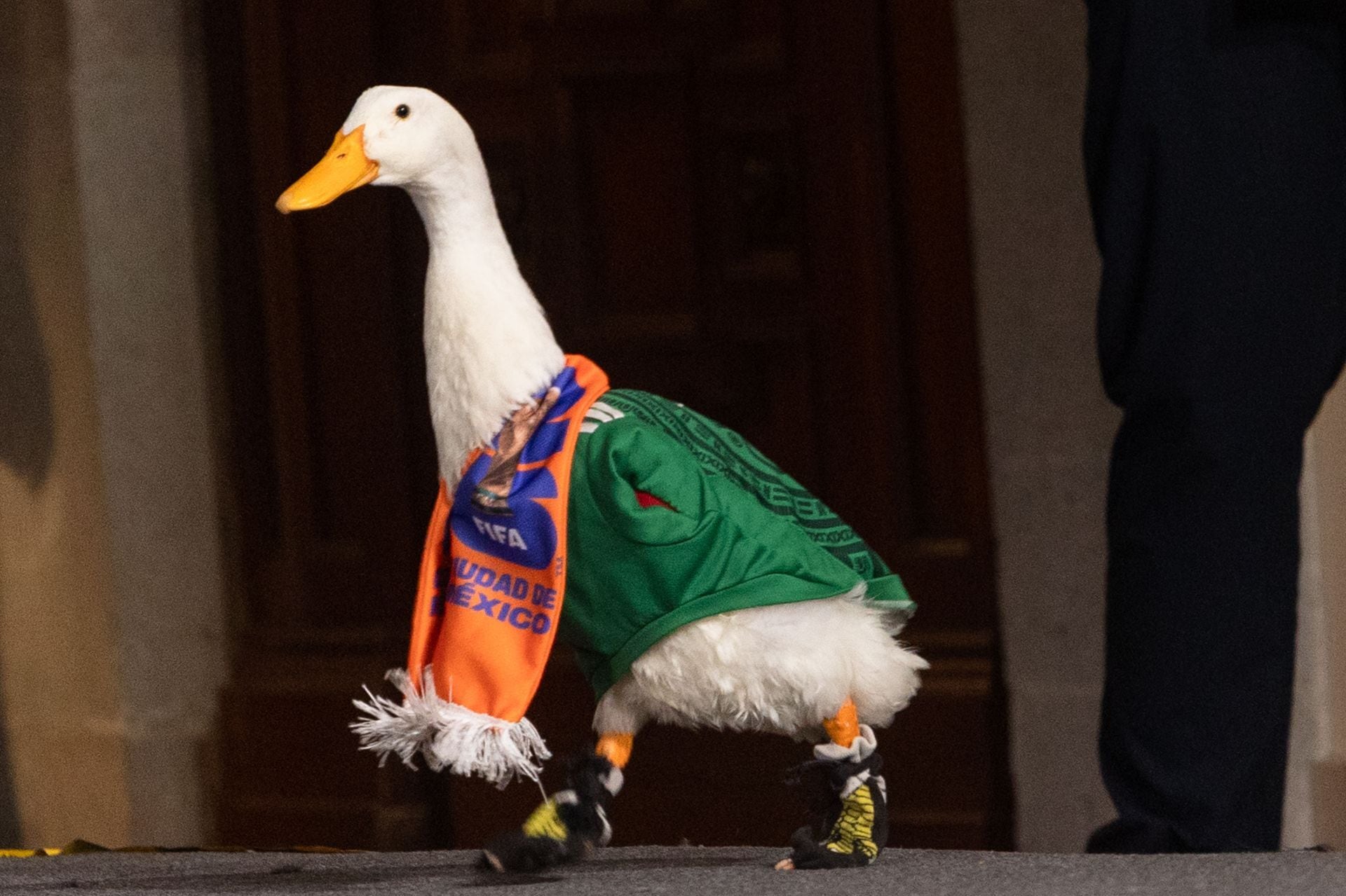 El Pato Merlín y su familia estuvieron en la Conferencia del Pueblo tras ser invitados por la Presidenta de México, Claudia Sheinbaum Pardo
