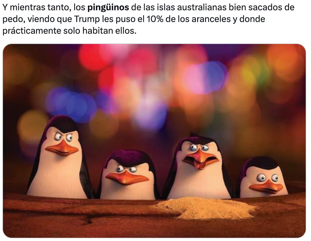 Los memes sobre los aranceles a pingüinos por Donald Trump