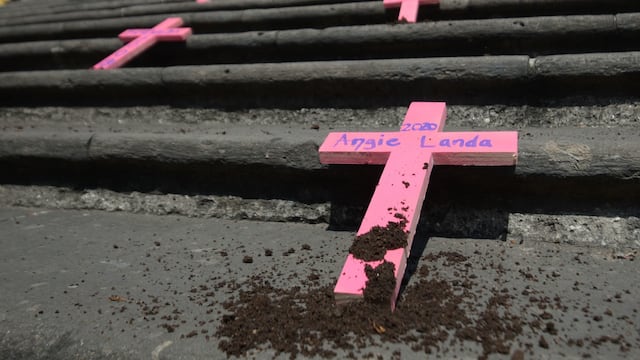 La activista Wendy López realizó el performance “Las Sin Nombre”, colocó cruces rosas con nombres de mujeres víctimas de feminicidio, en Xalapa.