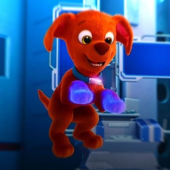 ¿Qué raza es Zuma de Paw Patrol?