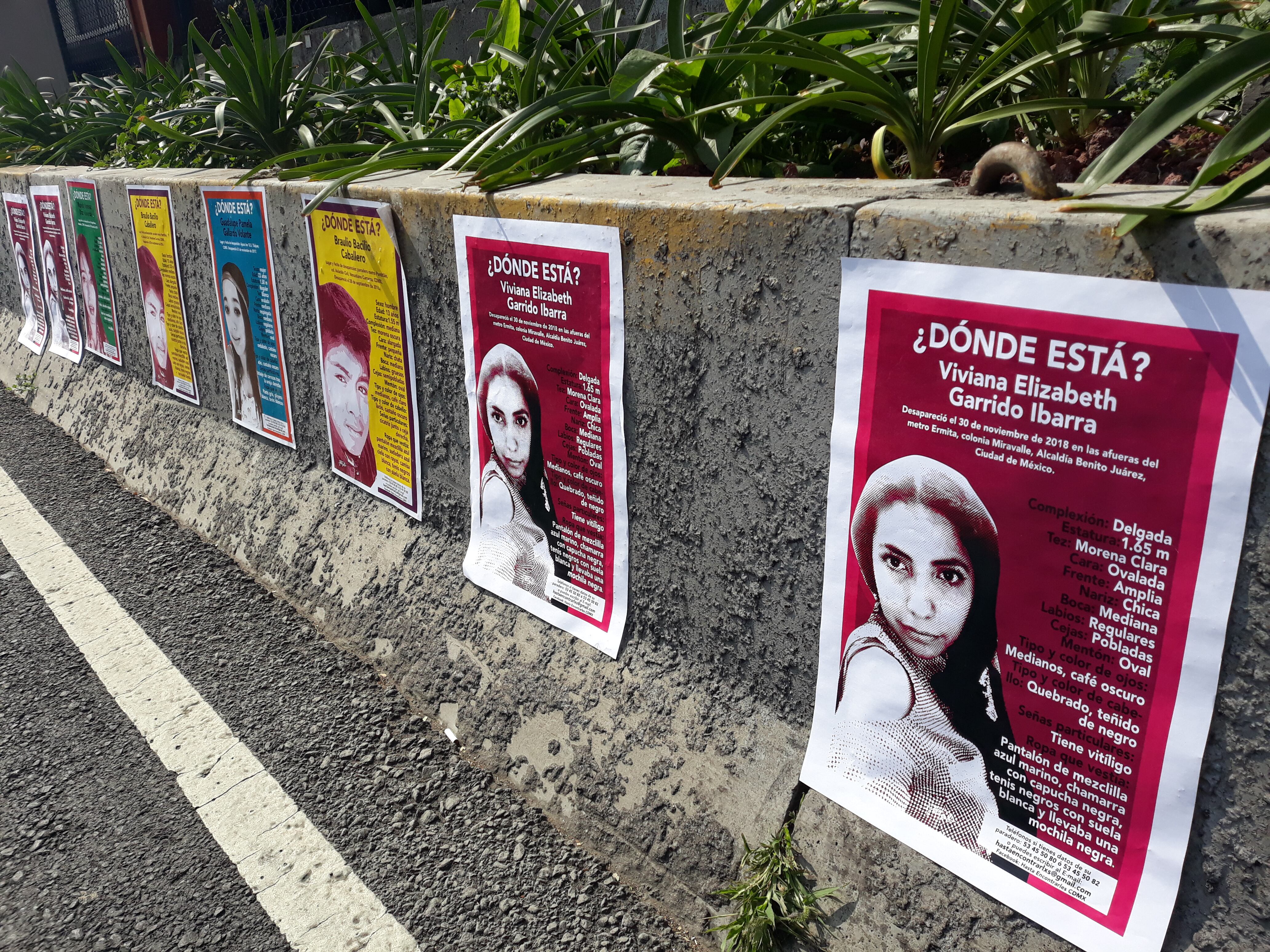 Carteles para buscar a Viviana.