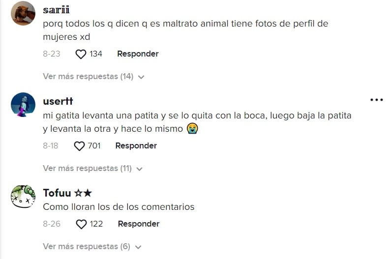 Comentarios