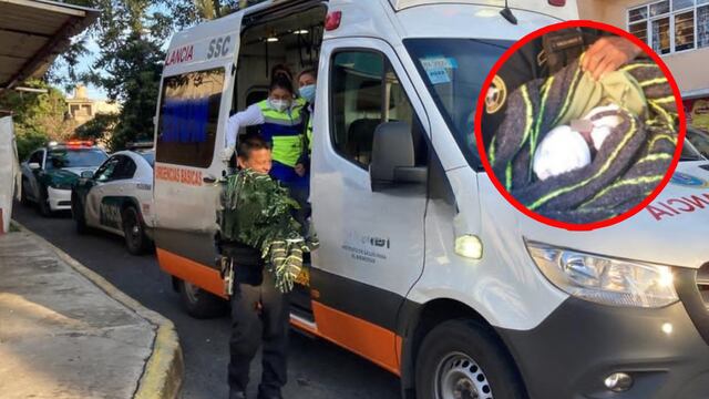 Bebé recién nacido abandonado