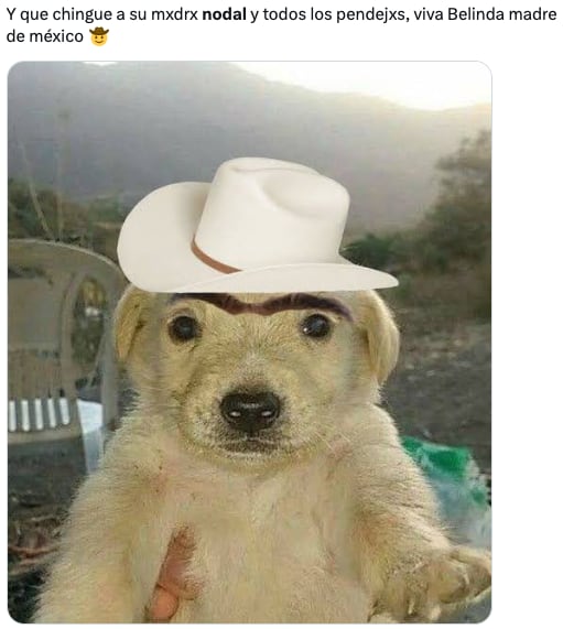 Memes le tiran a Christian Nodal por la canción de Belinda, Cactus
