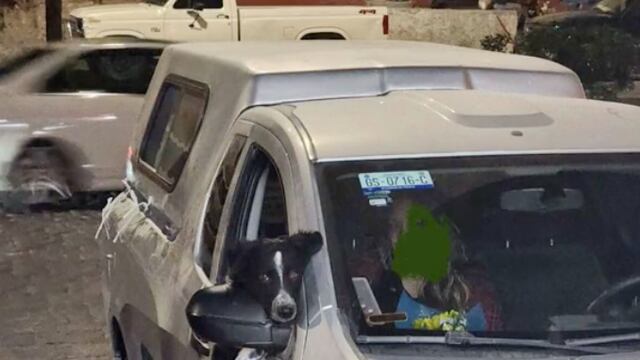 Criminales roban camioneta y secuestran al perro de una familia