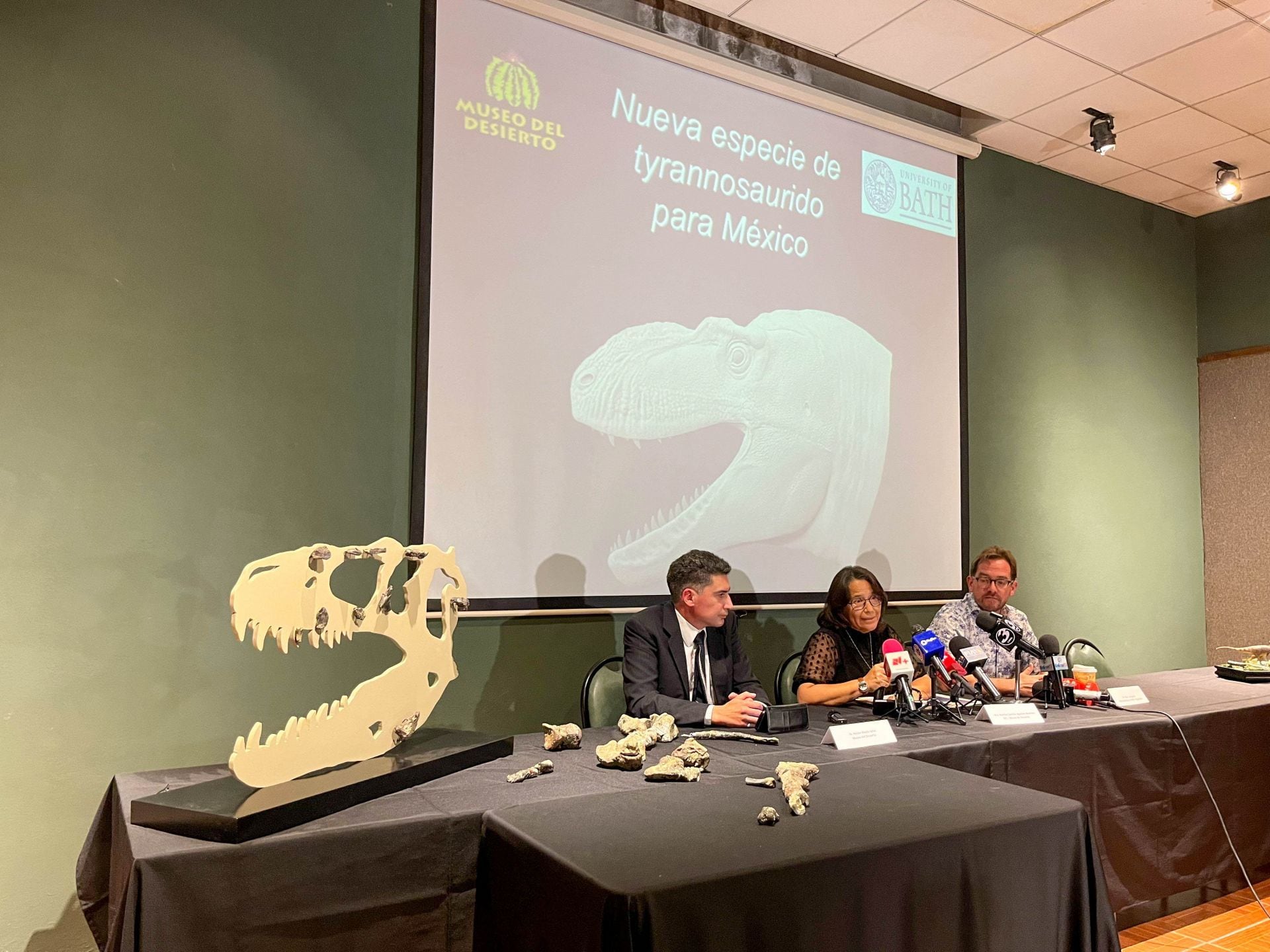 El Museo del Desierto presentó al tiranosaurio mexicano: Abocania Aguillonae