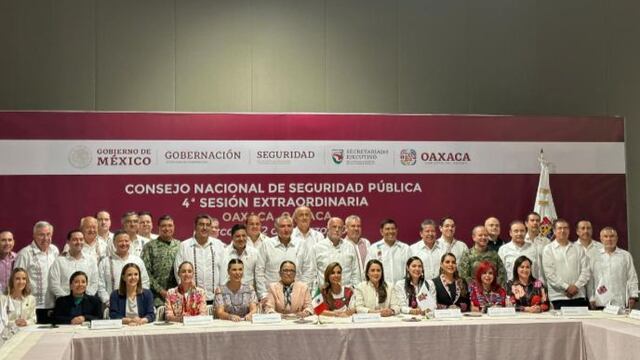 Consejo Nacional de Seguridad Pública