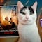 El gato de Un lugar en Silencio: Día uno, Frodo, ganó premio de Las Vegas Film Critics Society como mejor animal actor 2024