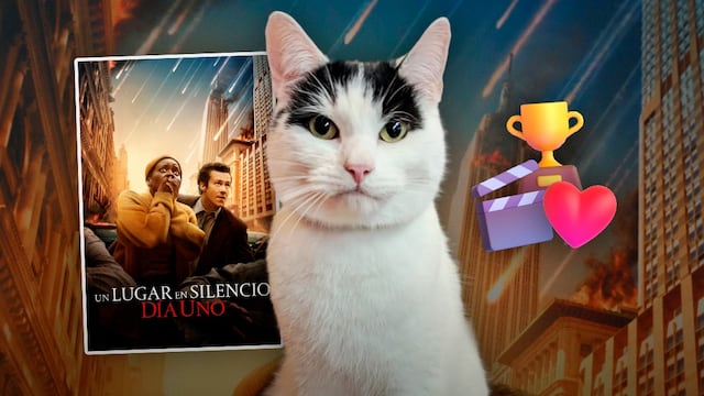 El gato Frodo de Un lugar en silencio: día uno, gana como mejor animal actor 2024