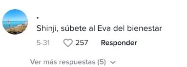 Comentario en Tiktok
