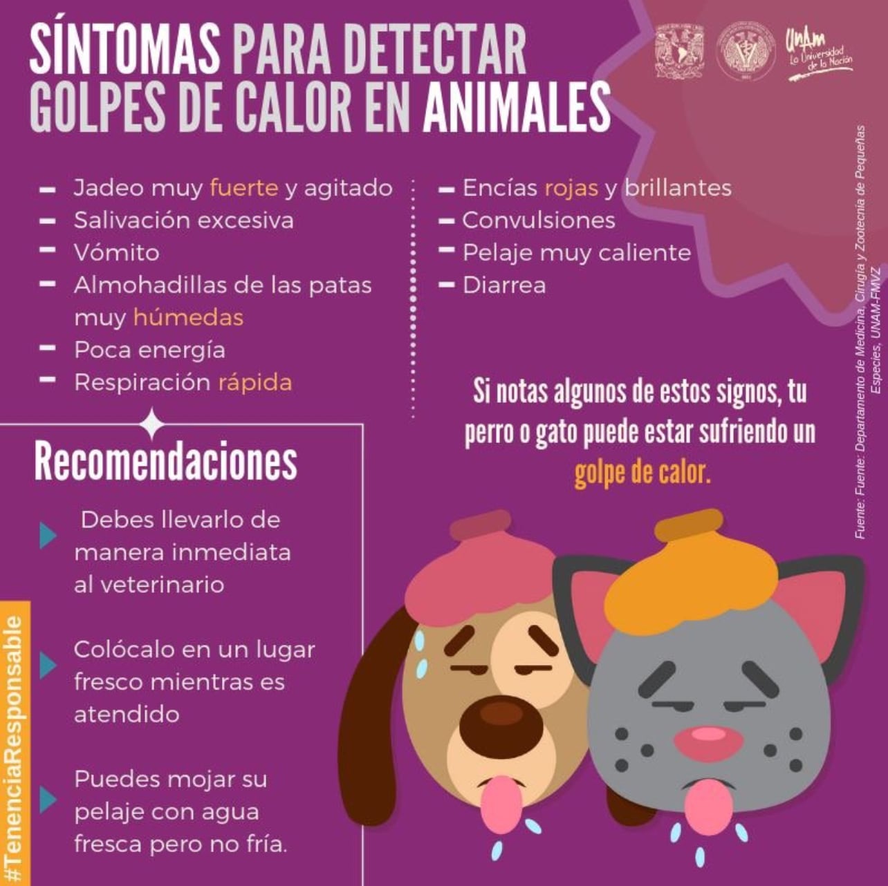 Síntomas de golpe de calor en mascotas