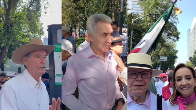 Personajes políticos en la marcha por el INE
