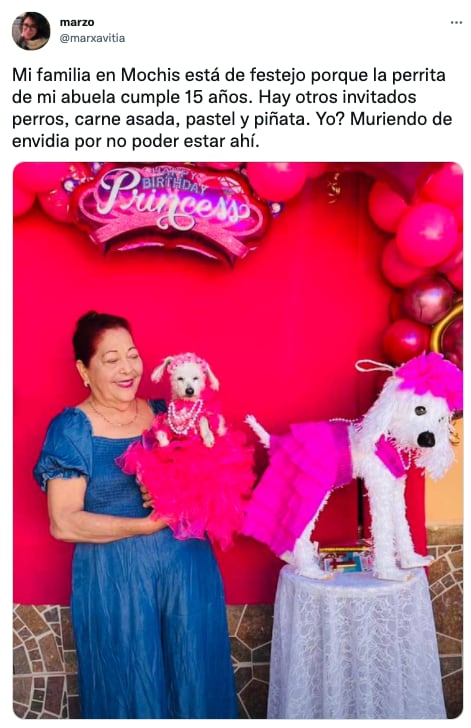 XV años a perrita Dory