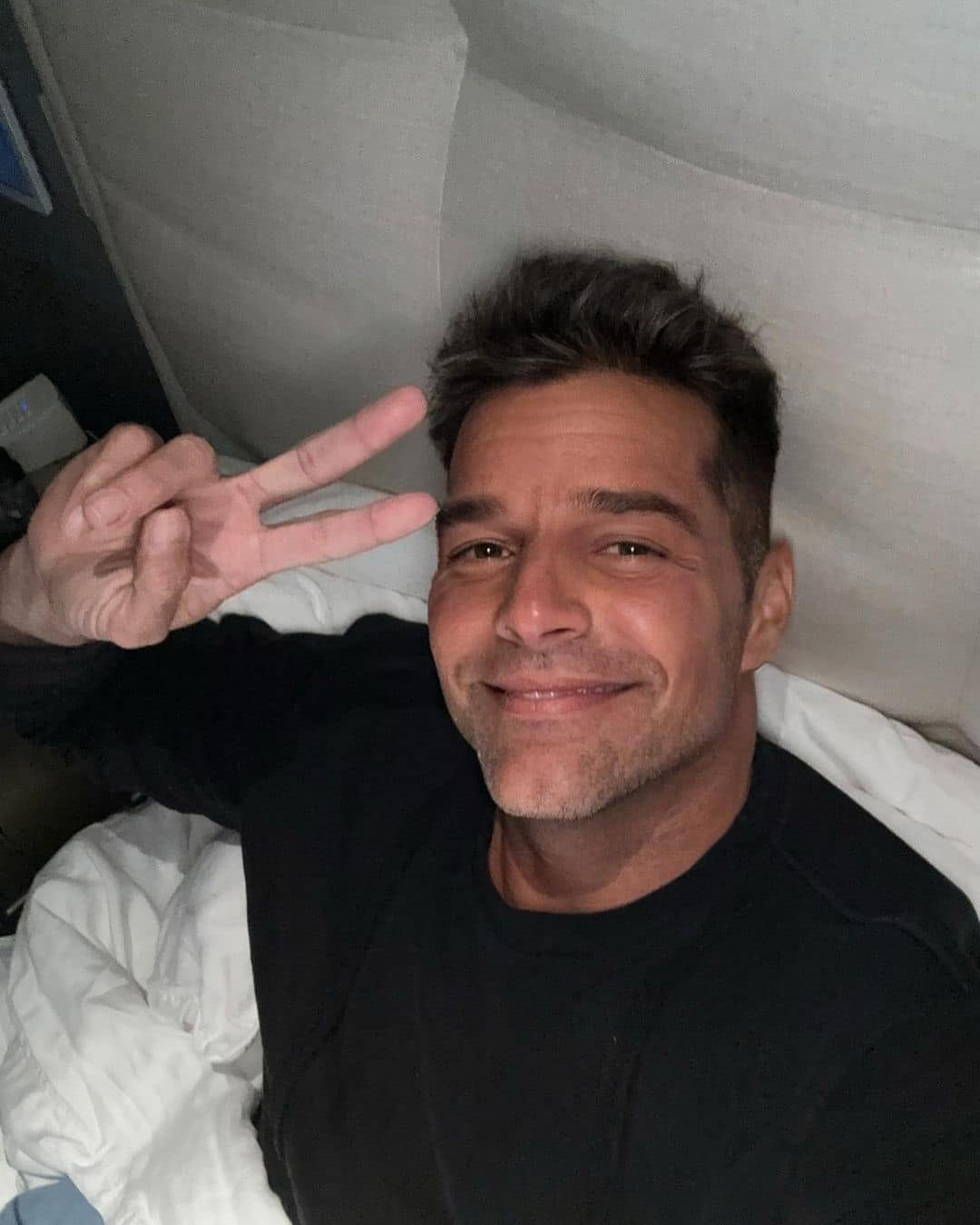 Ricky Martin, cantante.