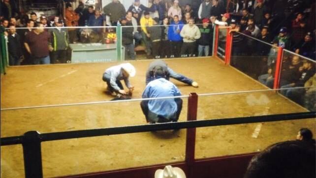 Clausuran Palenque Poker tras masacre en Ensenada