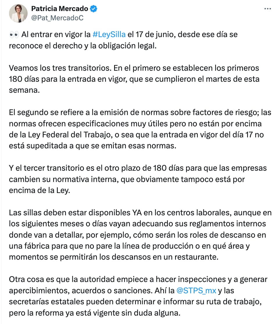 Patricia Mercado habla sobre la Ley Silla