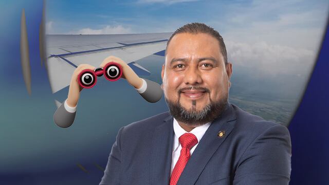 ¿Quién es Roberto Domínguez? Diputado de Morena votó en sesión desde un vuelo