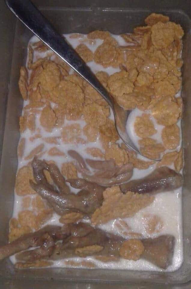Cereal con leche y patitas de pollo.