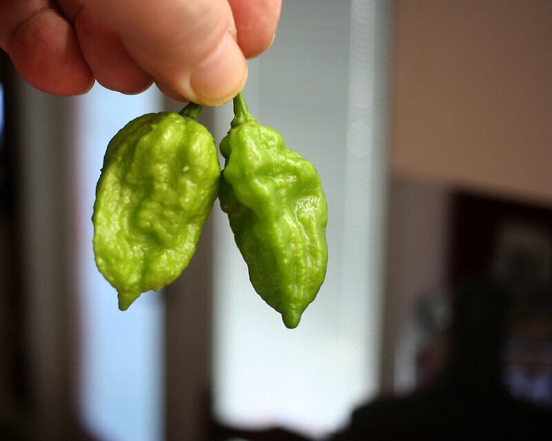 El chile más picoso del mundo según Taste Atlas