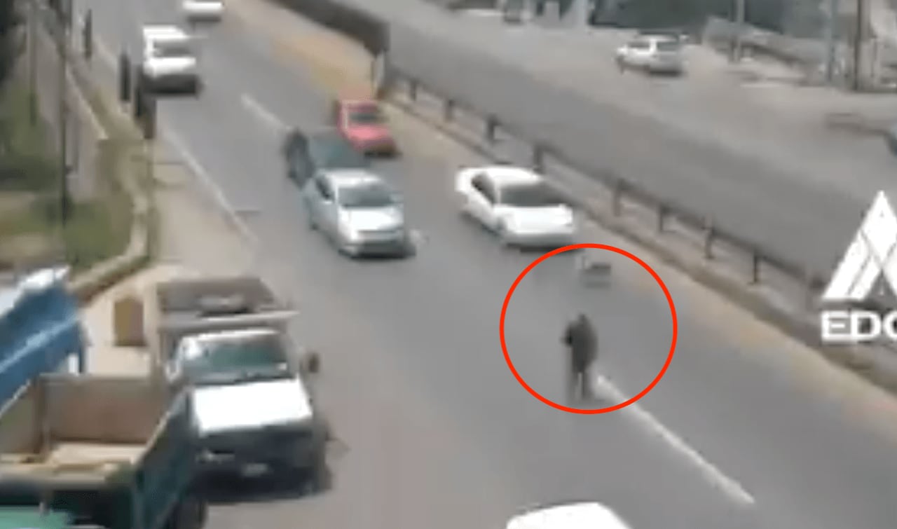 El perro se quedó parado a mitad de la vía.