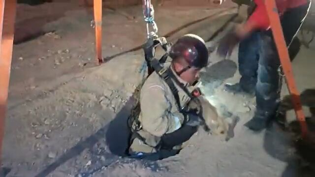 Rescate de perrito en Zapopan