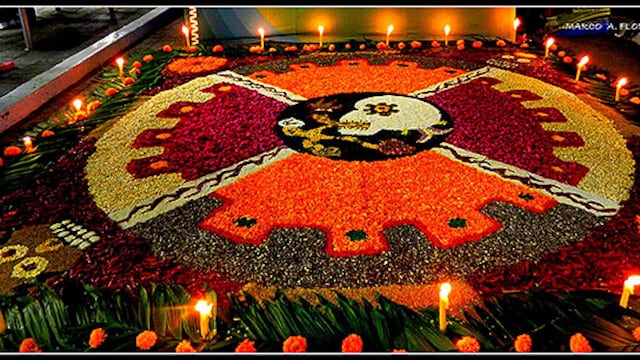 Tapete de aserrín. Foto: Marco A. Flores Lozano