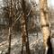 ¿'Abandoned’, el supuesto ‘Silent Hill’, fue cancelado? Esto es lo que sabemos