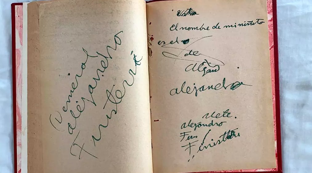 Cartas de Frida Kahlo a Alejandro Finisterre