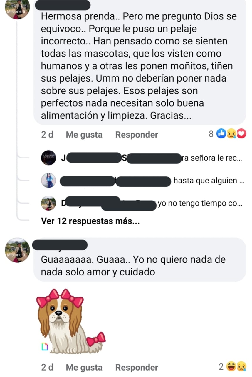 Críticas por vestir a su perro